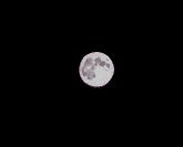 20200507_0037_flower_moon.jpg