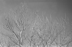 BW306_09.jpg