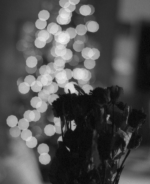 Snapshot 2006-12-19 01-29-23.png