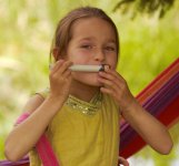 Festival du musique vert.JPG