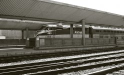 amtrak.jpg