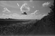 Strange but truest.jpg