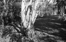 BW306_14.jpg