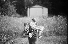 Canon 35F2.0 at 2.0.jpg