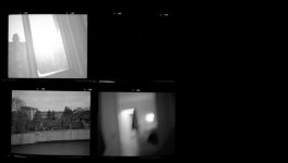 Light leak.003 copy.jpg