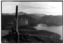 cactus lake0001.jpg