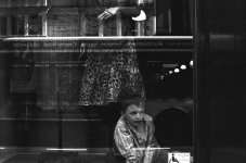 Window to the world.jpg