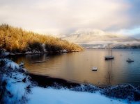 Snow on Bowen .jpg
