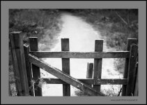 bokeh3.jpg