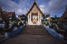 Karon Temple with pup-R3M-KR64 copy.jpg