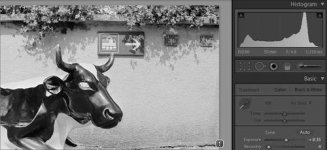 RETRO80S_and_ACUROL-N_Developed.jpg