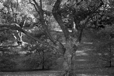 Highland Park 2007-11 Gnarly TMY-2.jpg