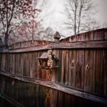 Birdhouse on Fence RFF March 1, 2017, Hasselblad 503cxi.JPG