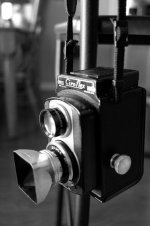 Hanging Ciro-flex rff.jpg