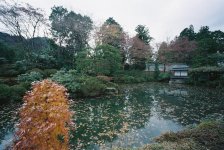 Nikko II.JPG