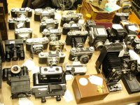 photo show 020 (Medium).jpg