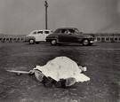 images weegee.jpg