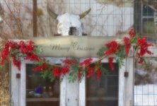 Merry Christmas (4).jpg