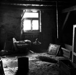 crib in window sm.jpg