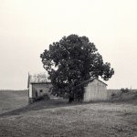 Out Buildings, Fairview Fruit Farm Rd COPY.jpg