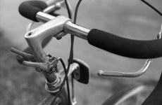 B&H FD 35 TMX 4 200 6min 19.jpg