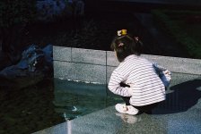 Watching fish.JPG