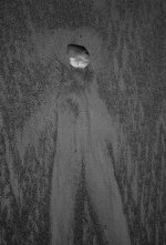 Img029.jpg