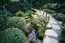 Garden I.JPG