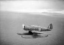 Northrop_N-3PB_in_flight.jpg