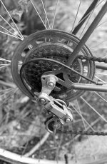 B&H FD 35 TMX 4 200 6min 15.jpg