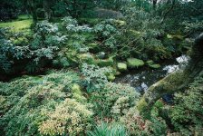 Garden II.JPG