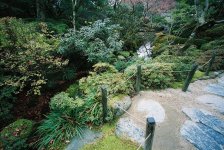 Garden III.JPG