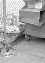 Scanner Test 1 web.jpg