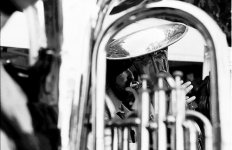 basso tuba.jpg