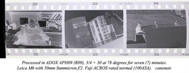 ADOXACROS.jpg
