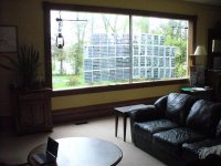 neg sleeves in window 002 (Large).jpg