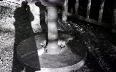 img007.jpg