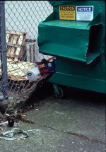 Scanner Test 3 web.jpg