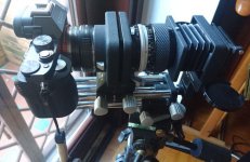 SCANNINGWITHDIGCAMWEB.jpg