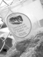 Scanner Test 1 web crop.jpg