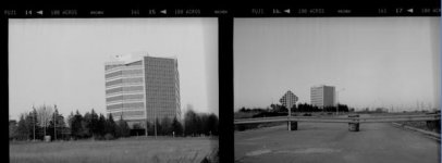 horizontal bands and vertical stains and vertical band .jpg