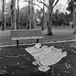 Hassy_BW10_012-Edit.jpg