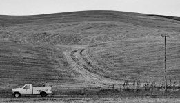 B&W_Summer-Wheat-May-2013-rff-001.jpg