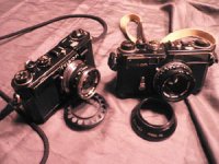 Nikon RF month.jpg