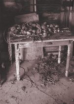 Untitled-2 (Large).jpg