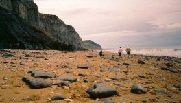 Charmouth6002Tix.jpg