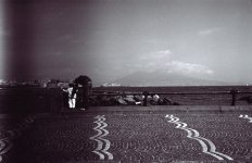 Napoli Mar 2007.jpg