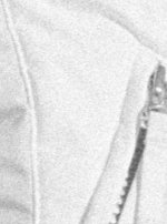 PanF_Detail.jpg