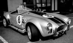 cobra.jpg