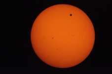 _DSC1138_600.jpg